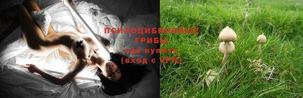 бошки Няндома