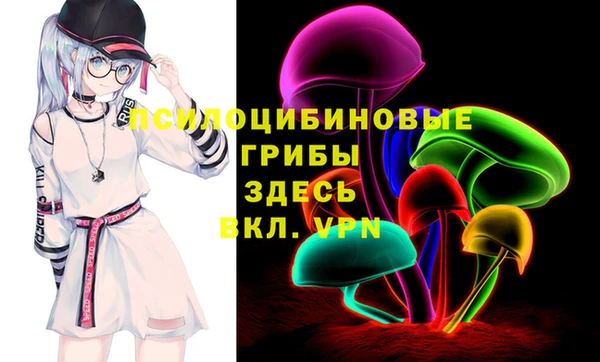 не бодяженный Арсеньев
