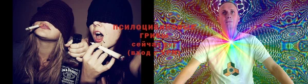 прущие крисы Абаза