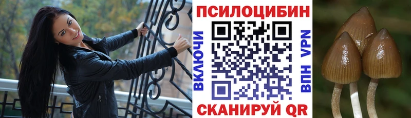 как найти закладки  Усмань  Галлюциногенные грибы GOLDEN TEACHER 